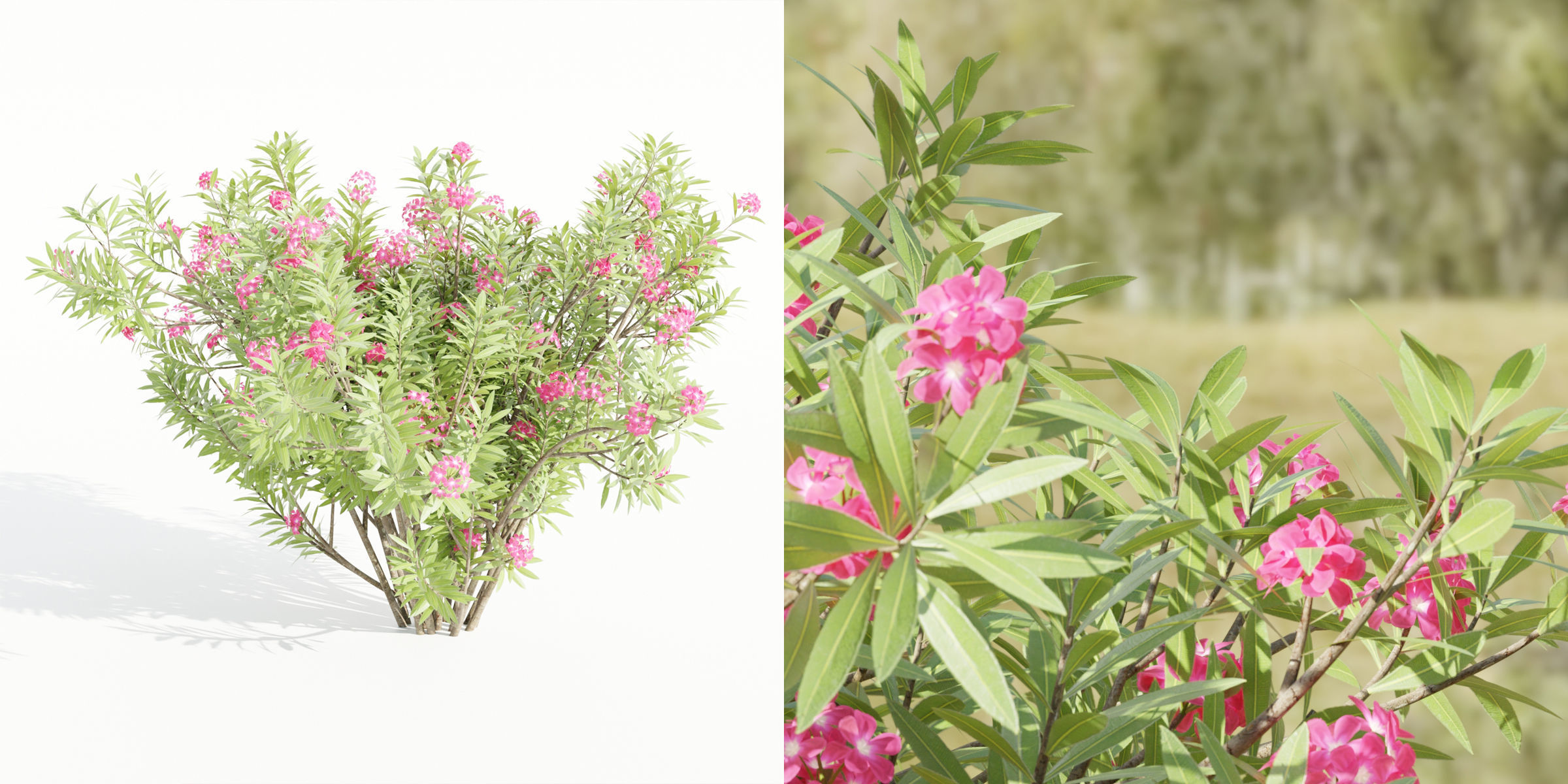 55 Bushes Collection-Blender-3DModel _16