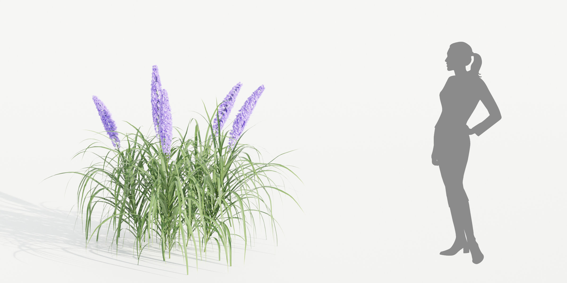 55 Bushes Collection-Blender-3DModel _23