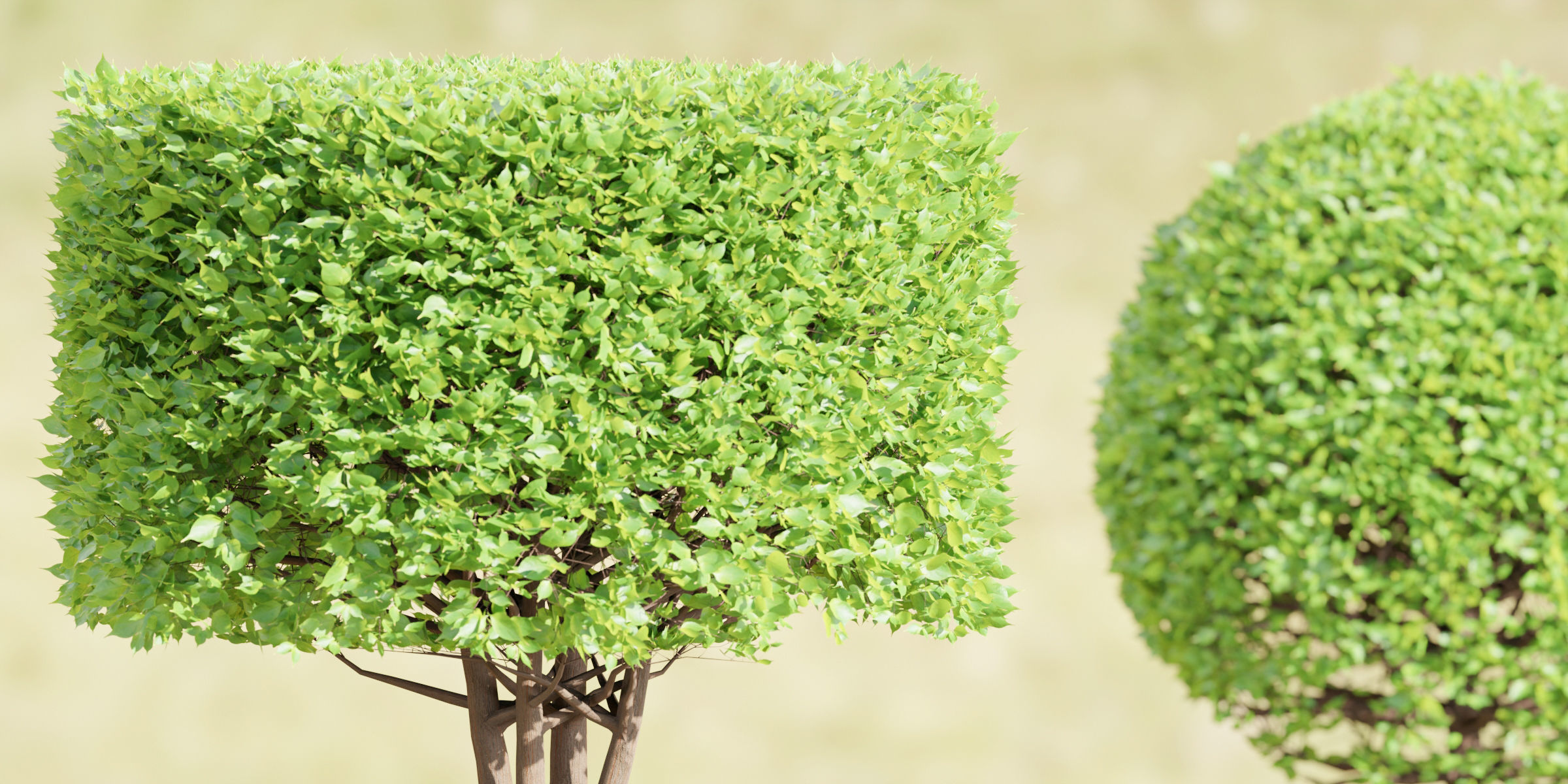 55 Bushes Collection-Blender-3DModel _12