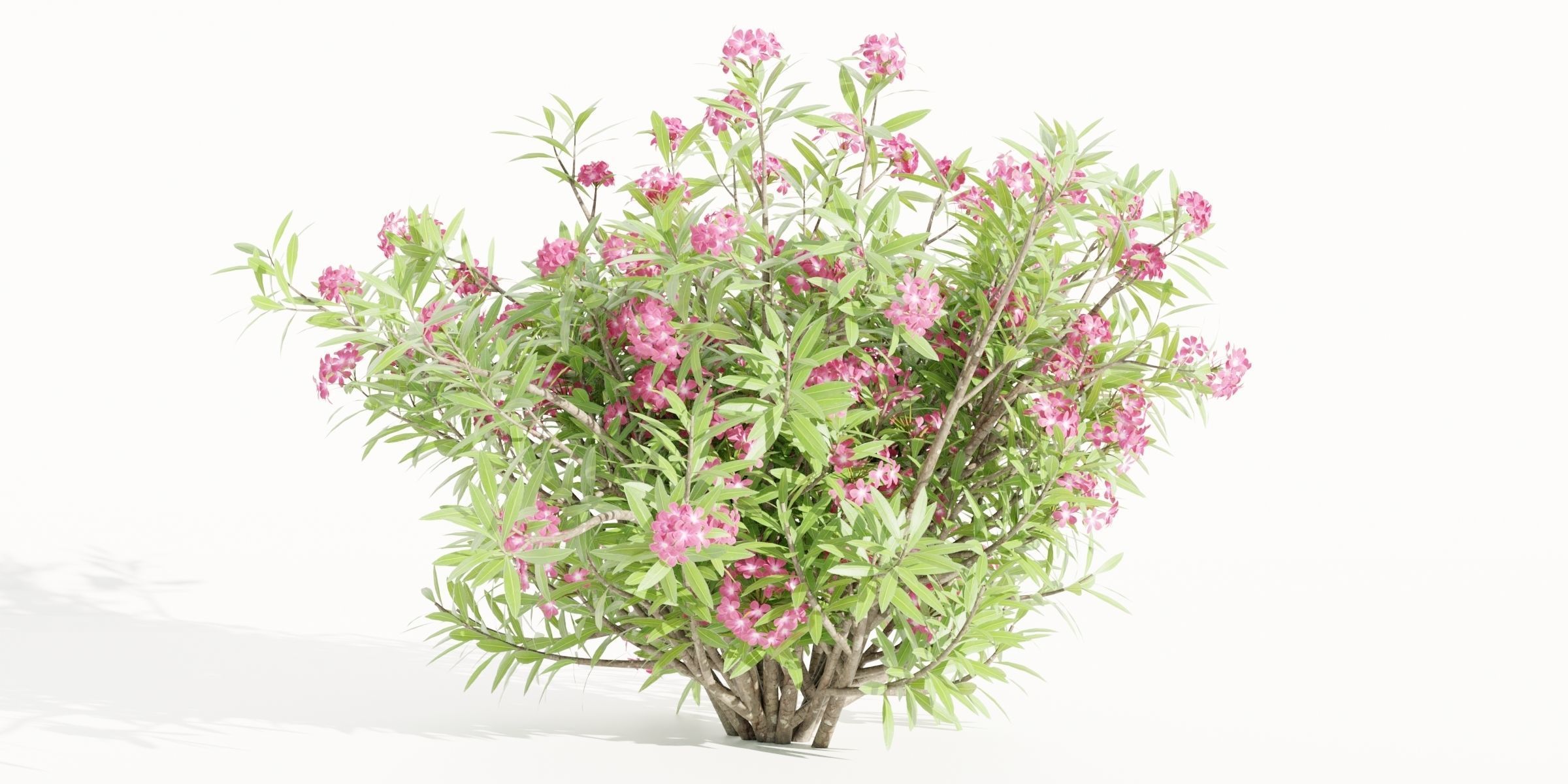 55 Bushes Collection-Blender-3DModel _59