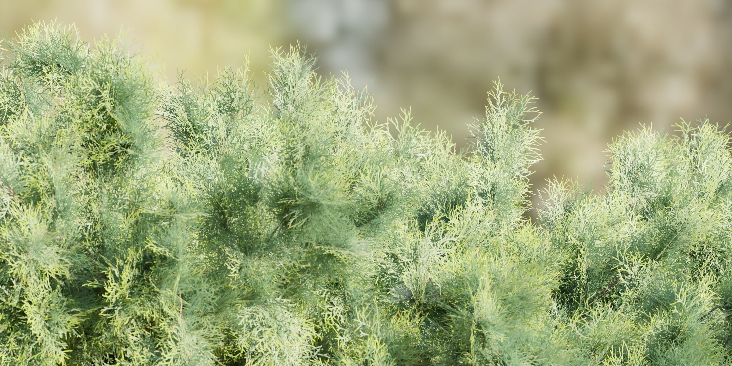 55 Bushes Collection-Blender-3DModel _72