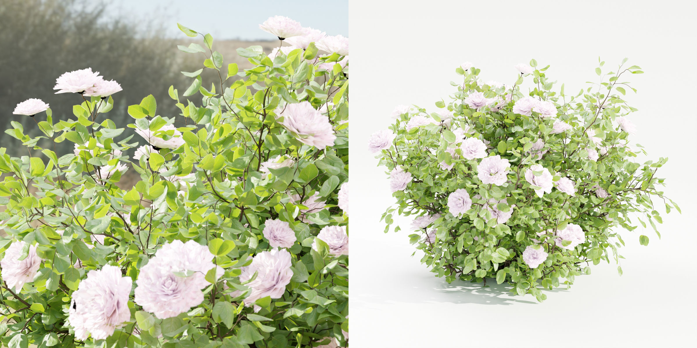 55 Bushes Collection-Blender-3DModel _9