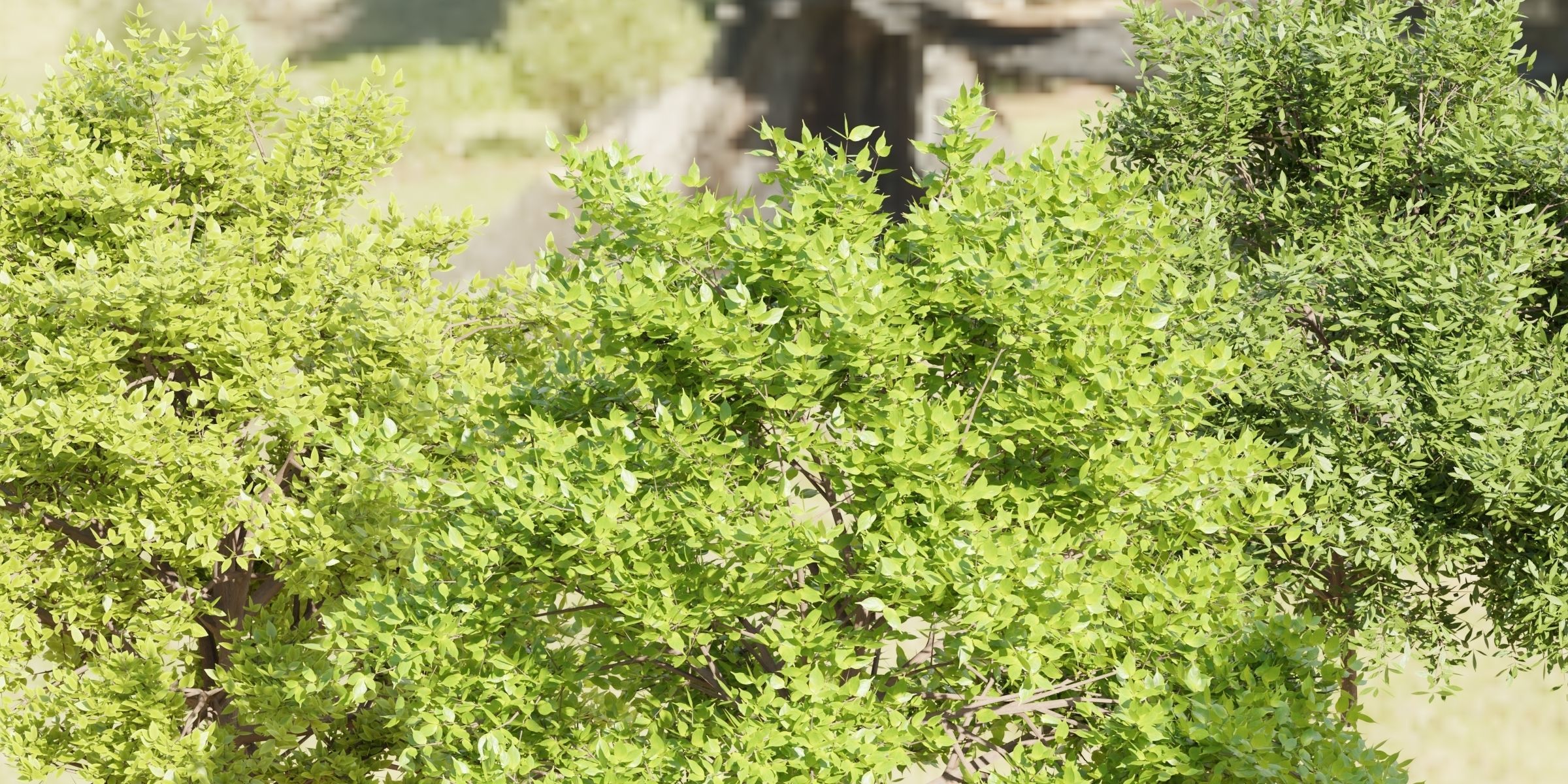 55 Bushes Collection-Blender-3DModel _81