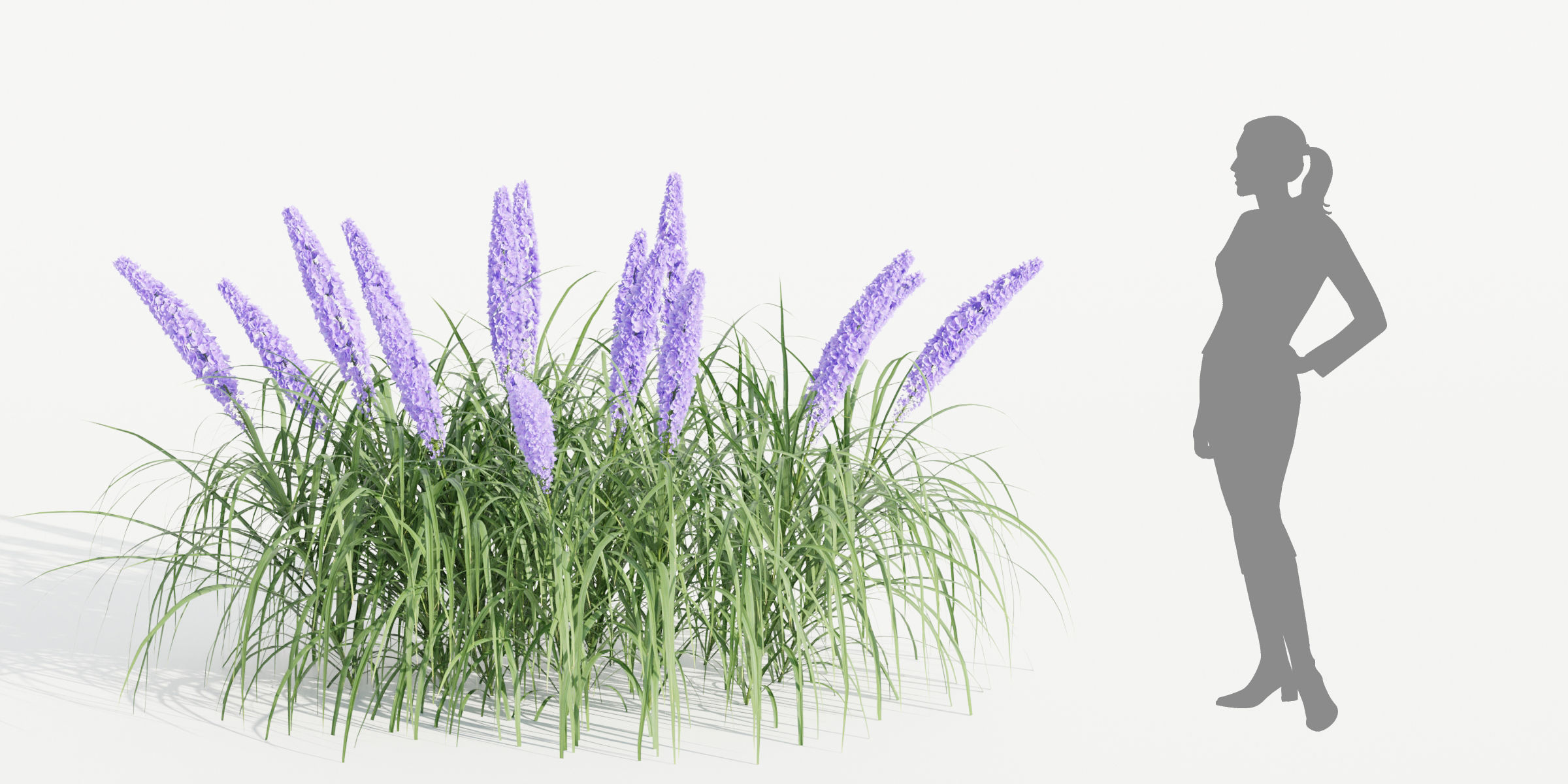 55 Bushes Collection-Blender-3DModel _24