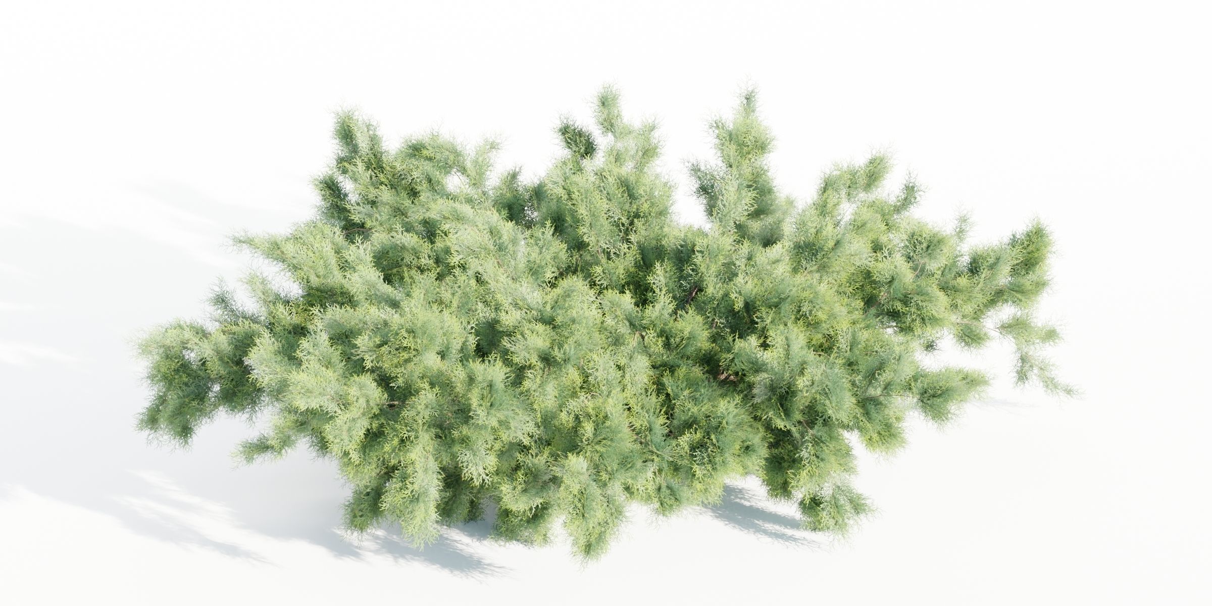 55 Bushes Collection-Blender-3DModel _75