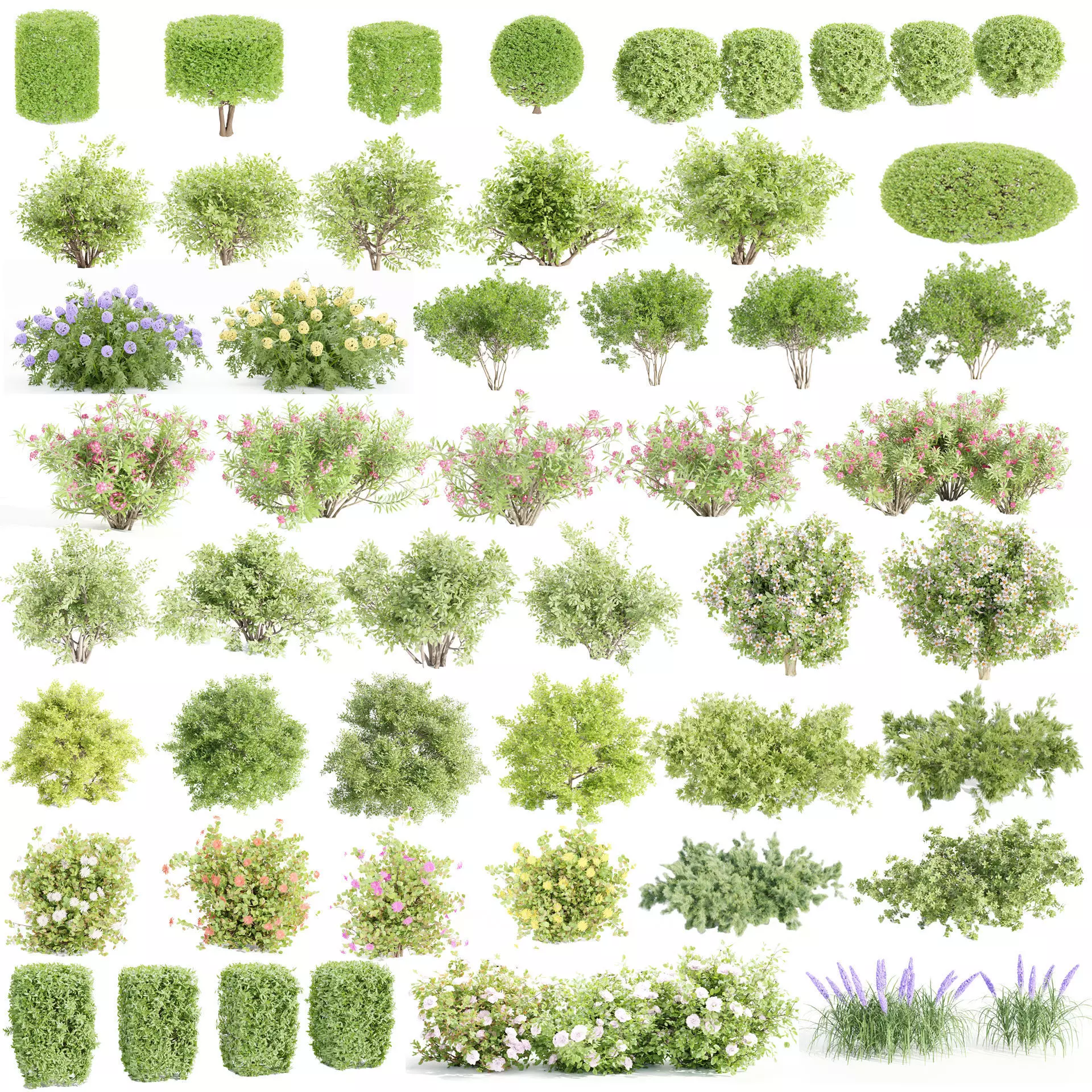 55 Bushes Collection-Blender-3DModel _0