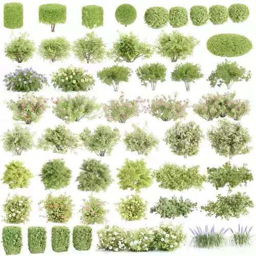 55 Bushes Collection-Blender-3DModel 