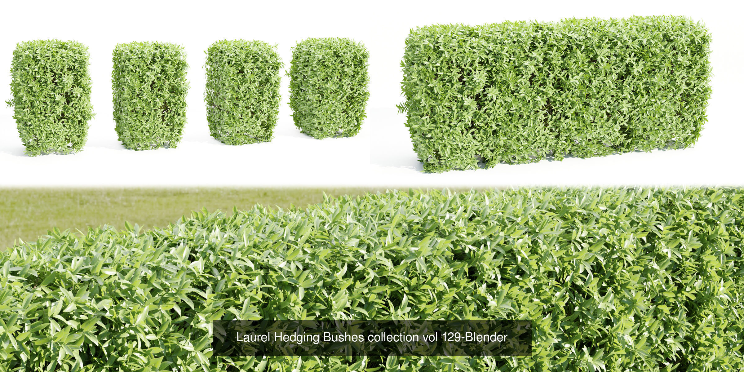 55 Bushes Collection-Blender-3DModel _36