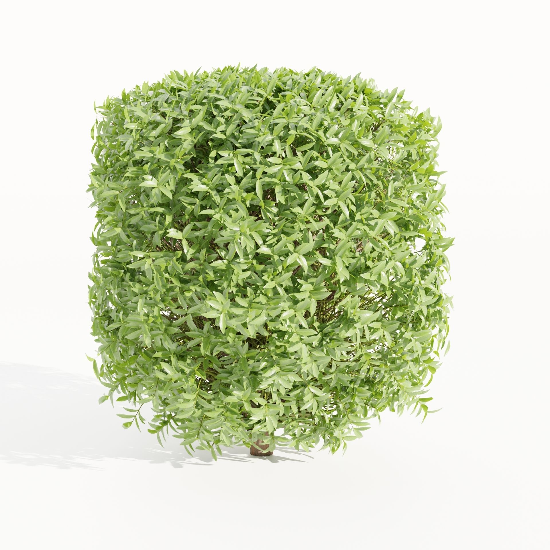 55 Bushes Collection-Blender-3DModel _43