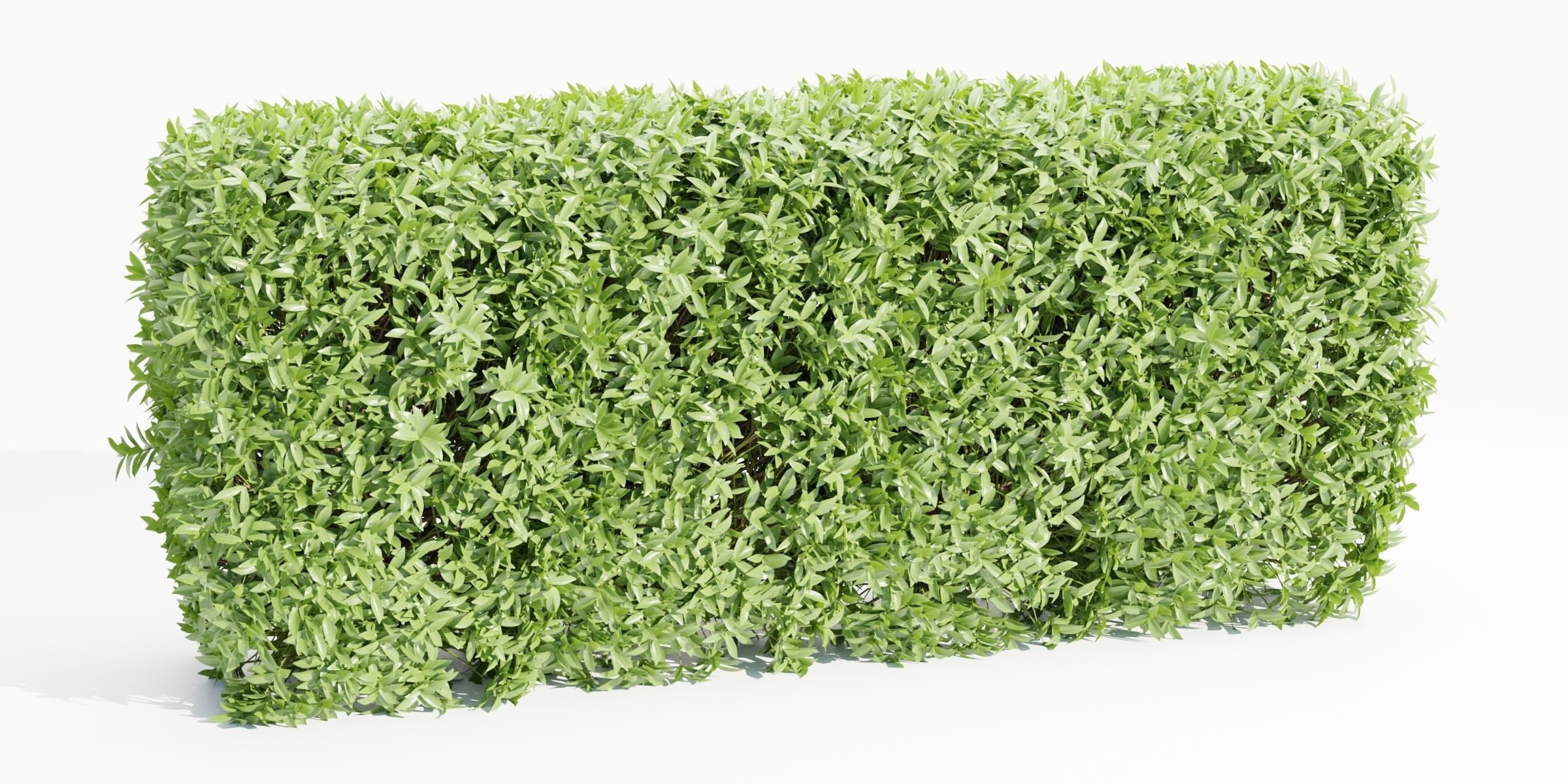 55 Bushes Collection-Blender-3DModel _37