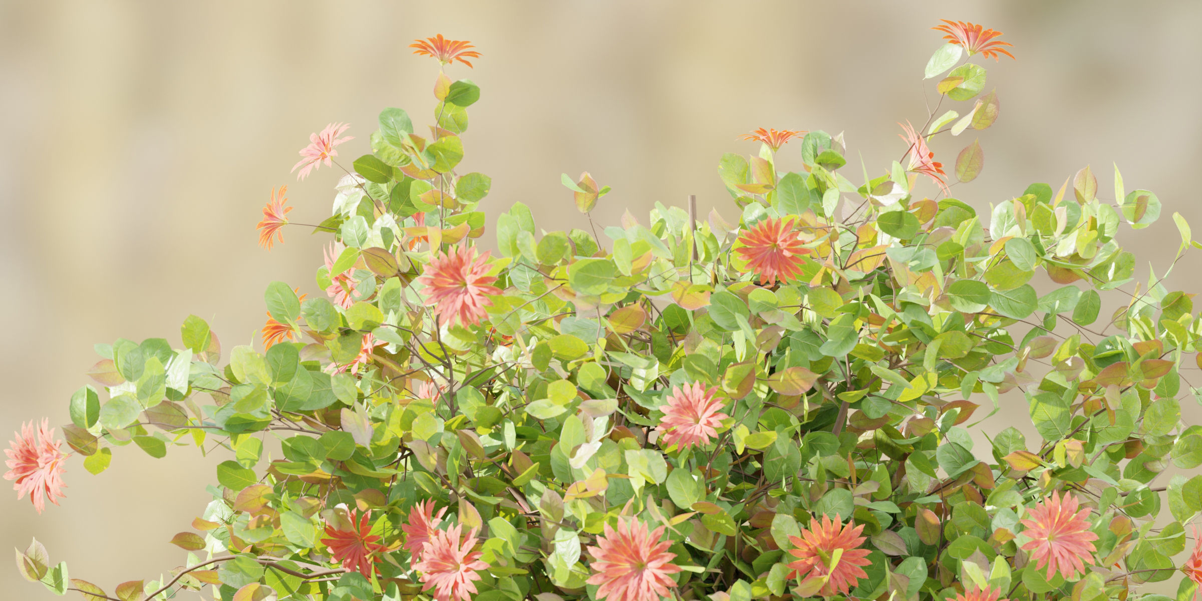 55 Bushes Collection-Blender-3DModel _63