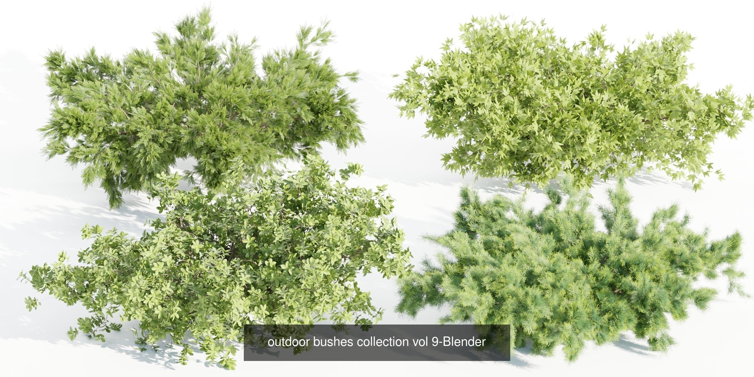 55 Bushes Collection-Blender-3DModel _69