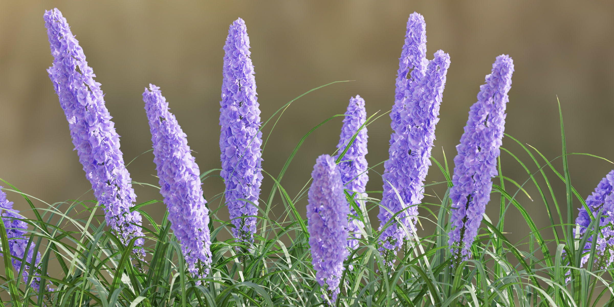 55 Bushes Collection-Blender-3DModel _21