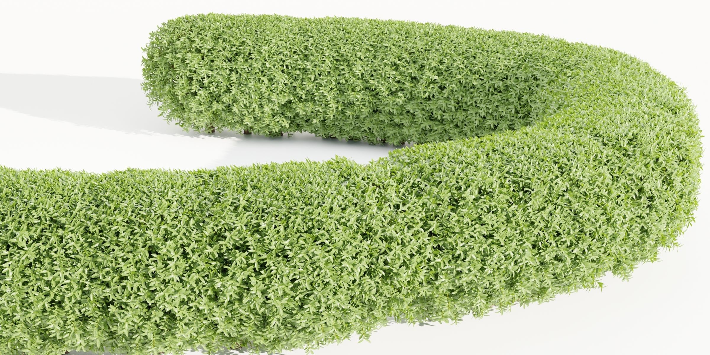 55 Bushes Collection-Blender-3DModel _42