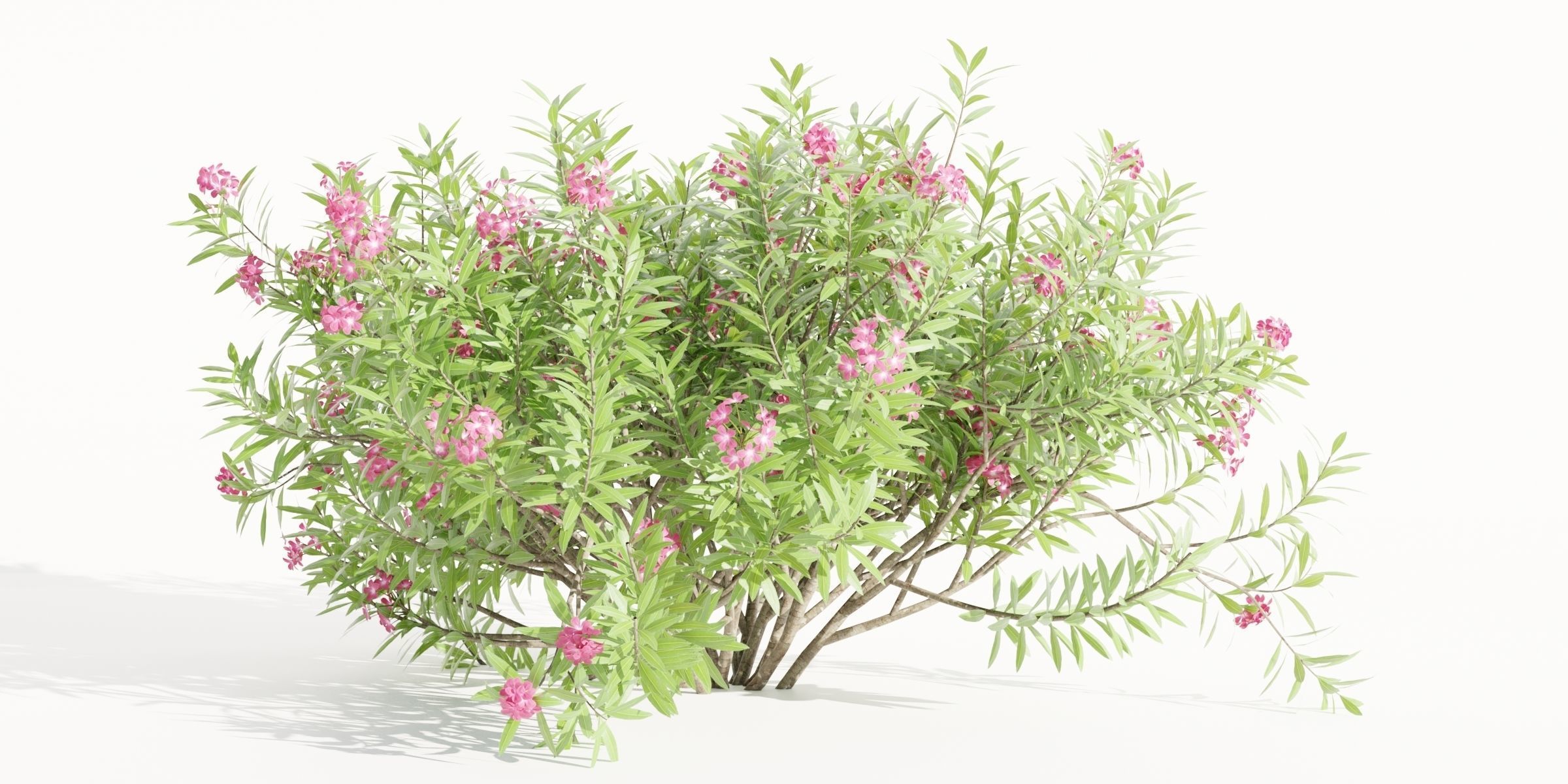 55 Bushes Collection-Blender-3DModel _58