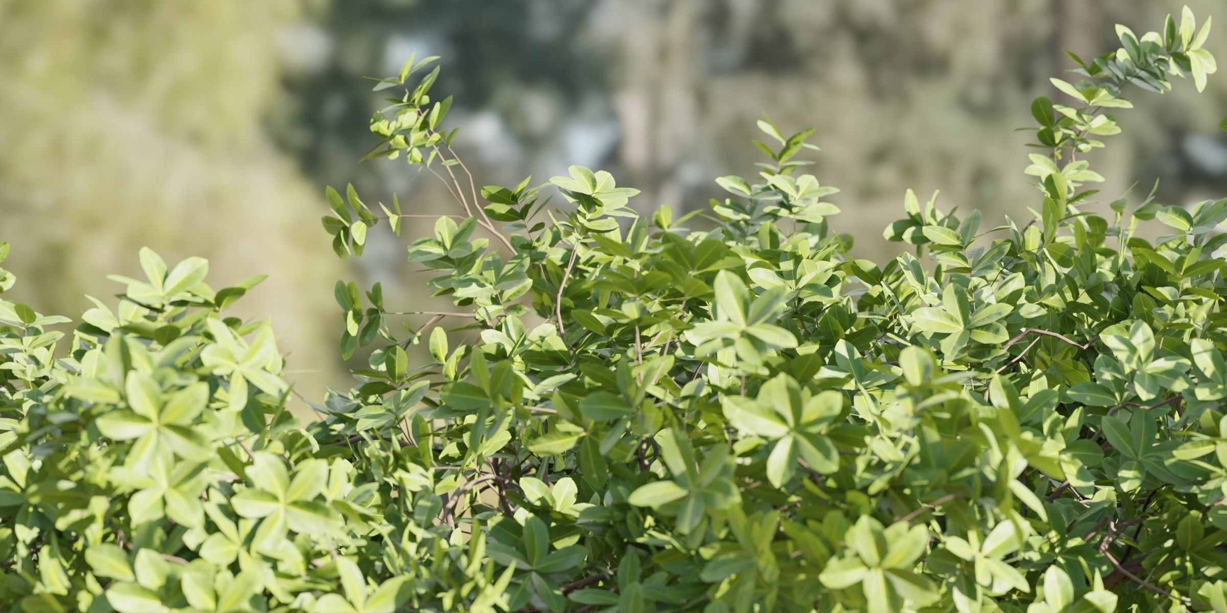 55 Bushes Collection-Blender-3DModel _70