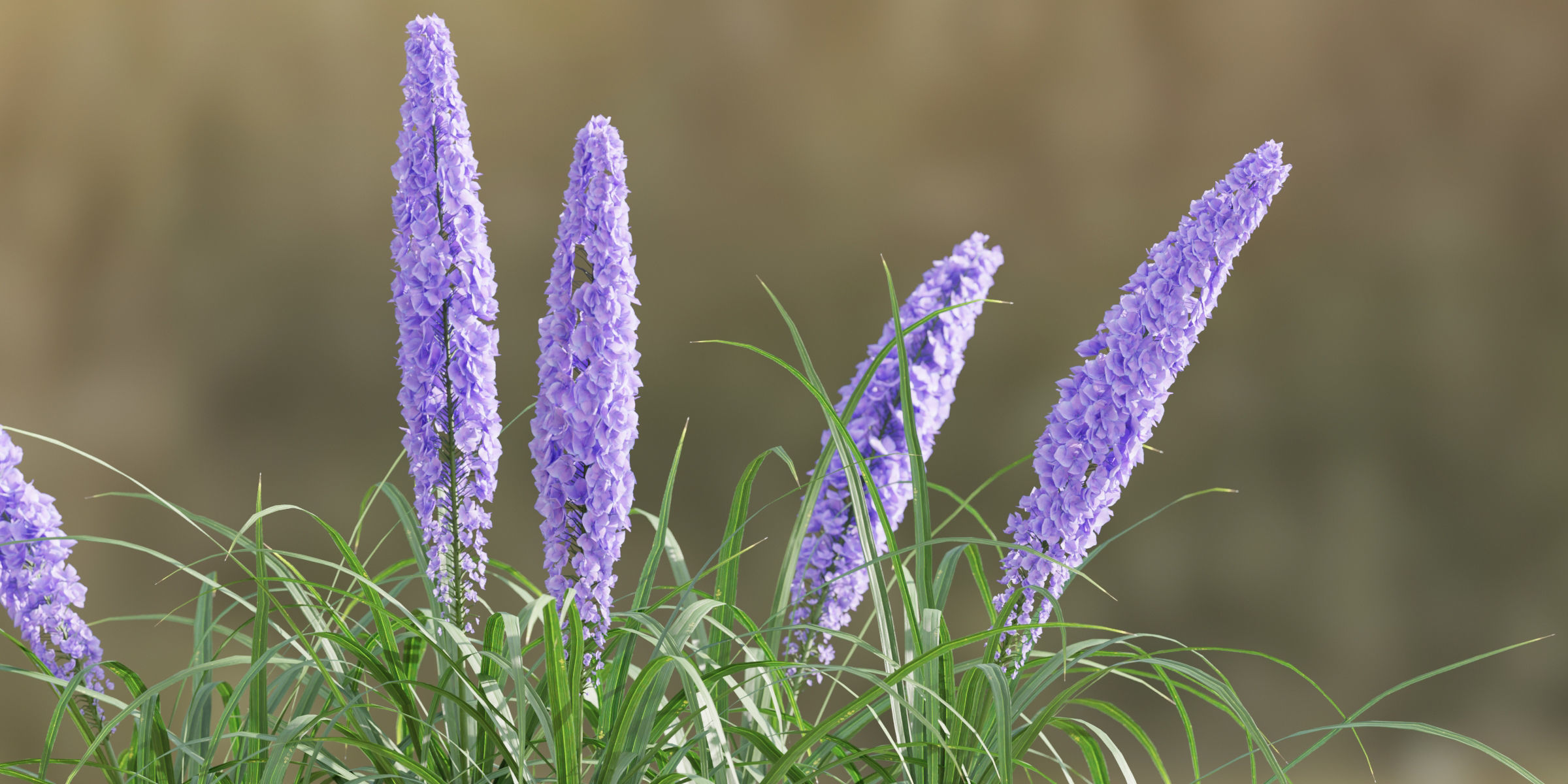 55 Bushes Collection-Blender-3DModel _20