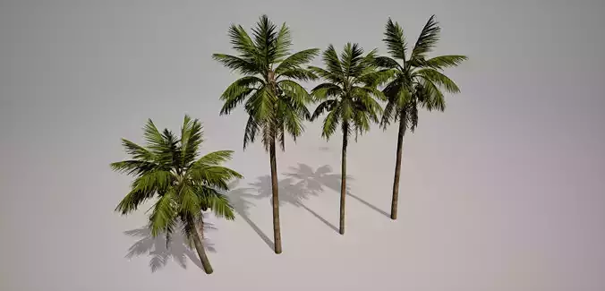 Palm Tree 3D Models Low-poly Tropical Tree Low-poly 3D model