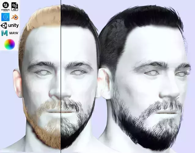 Realistic Short Male Hair Cards Low-poly 3D model