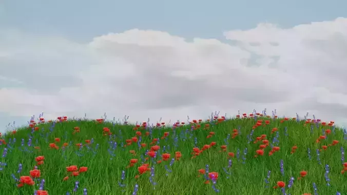Wildflower 3D model