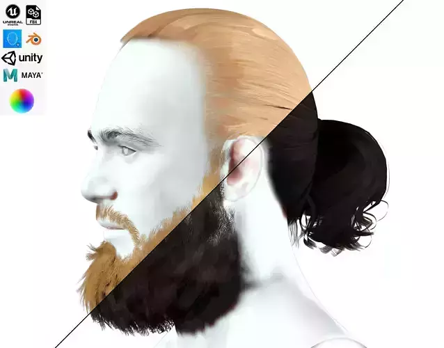 Man Ponytail Hair Realistic Card Low-poly 3D model