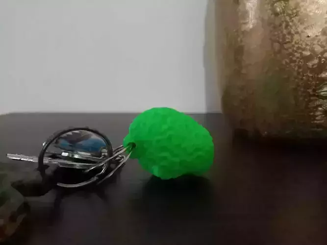 3D printed human brain Free 3D print model