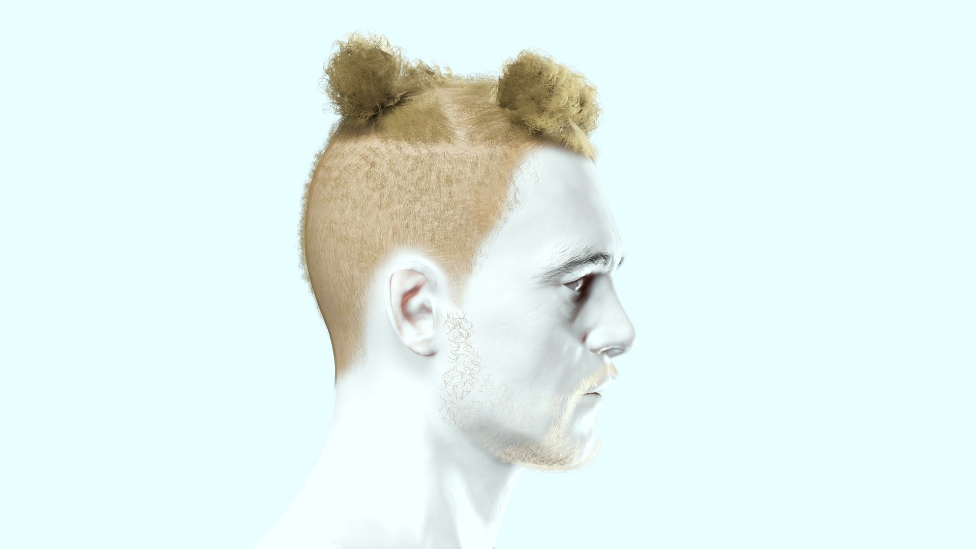 Realistic Afro Man Hair card styled Low-poly 3D model_5