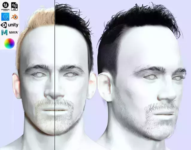 Realistic Male Hair Short Hair Card Low-poly 3D model