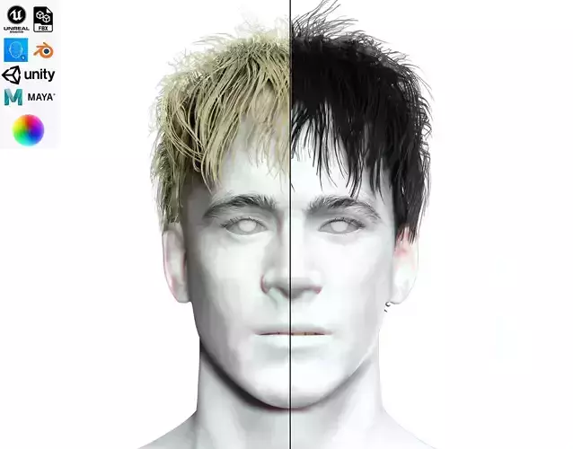 Realistic Male Hair - Messy Hair Style Hair Card Low-poly 3D model