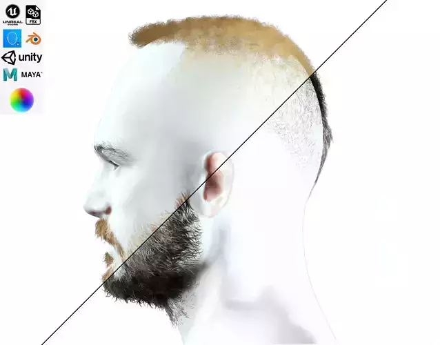 Realistic Male Hair - Curly Fade hair card Low-poly 3D model