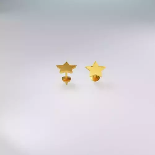 Star Stud Earrings 