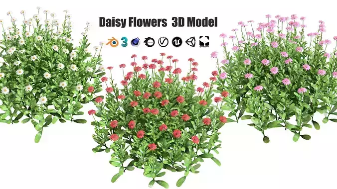 Daisy Flowers Bush Low-poly 3D model