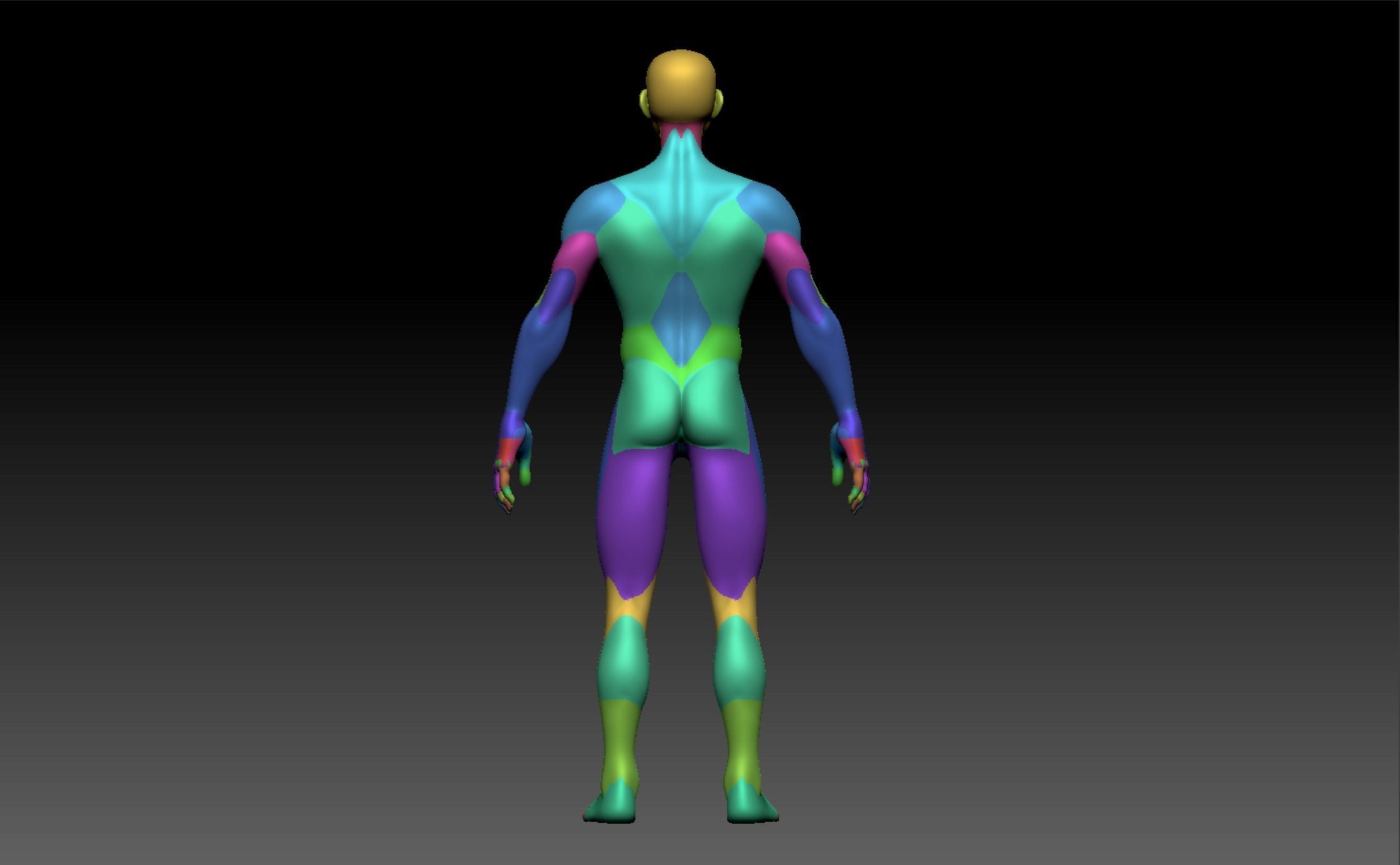 Man Model 3D model_12