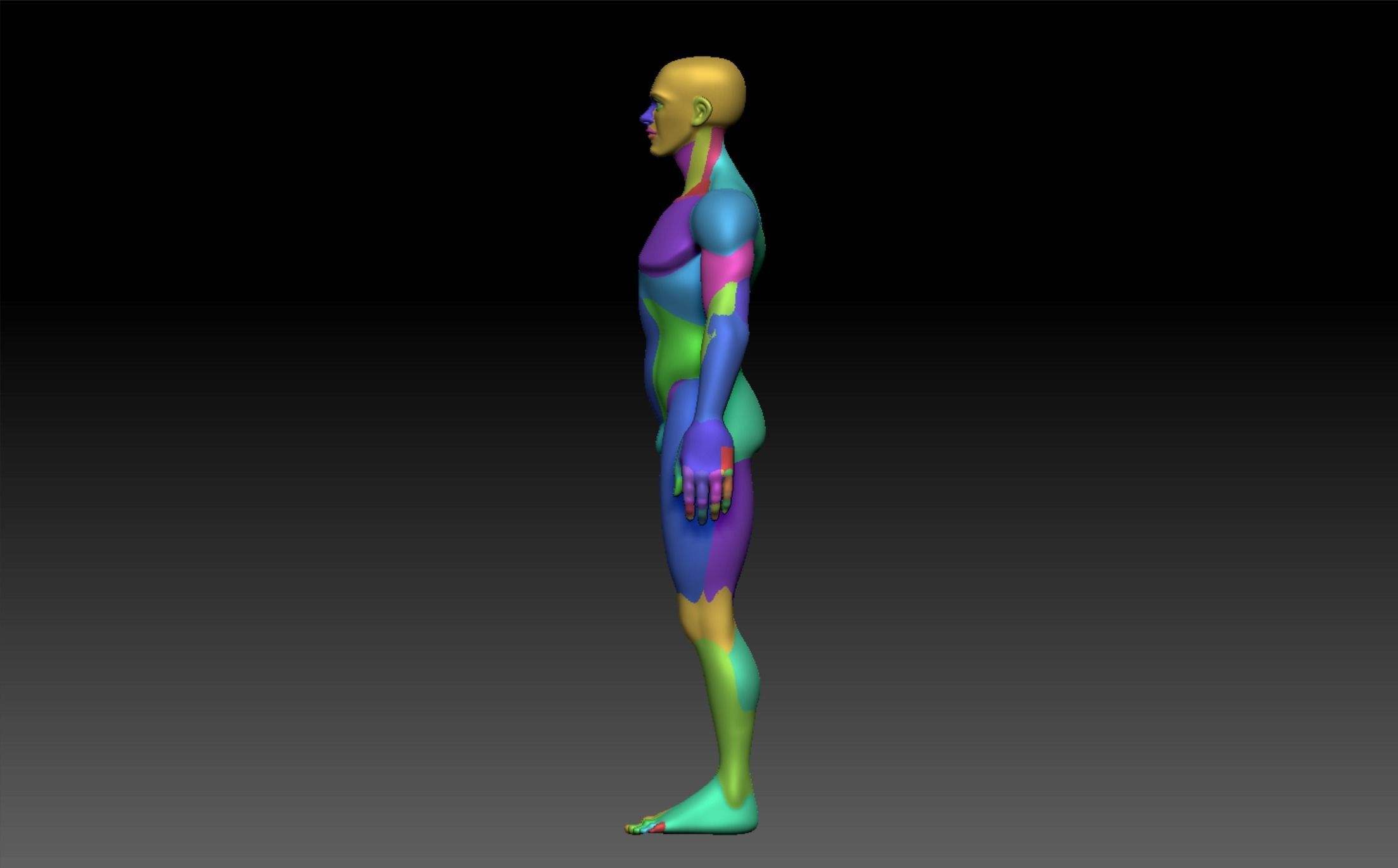 Man Model 3D model_13