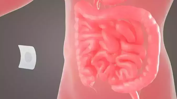 tomach patch magnetic patch animation dissection medical