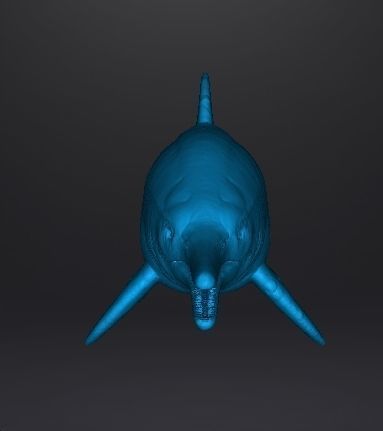 ICHTHYOSAUR REALISTIC FIGURE MINIATURE MODEL DINOSAUR WILDLIFE 3D print model_6