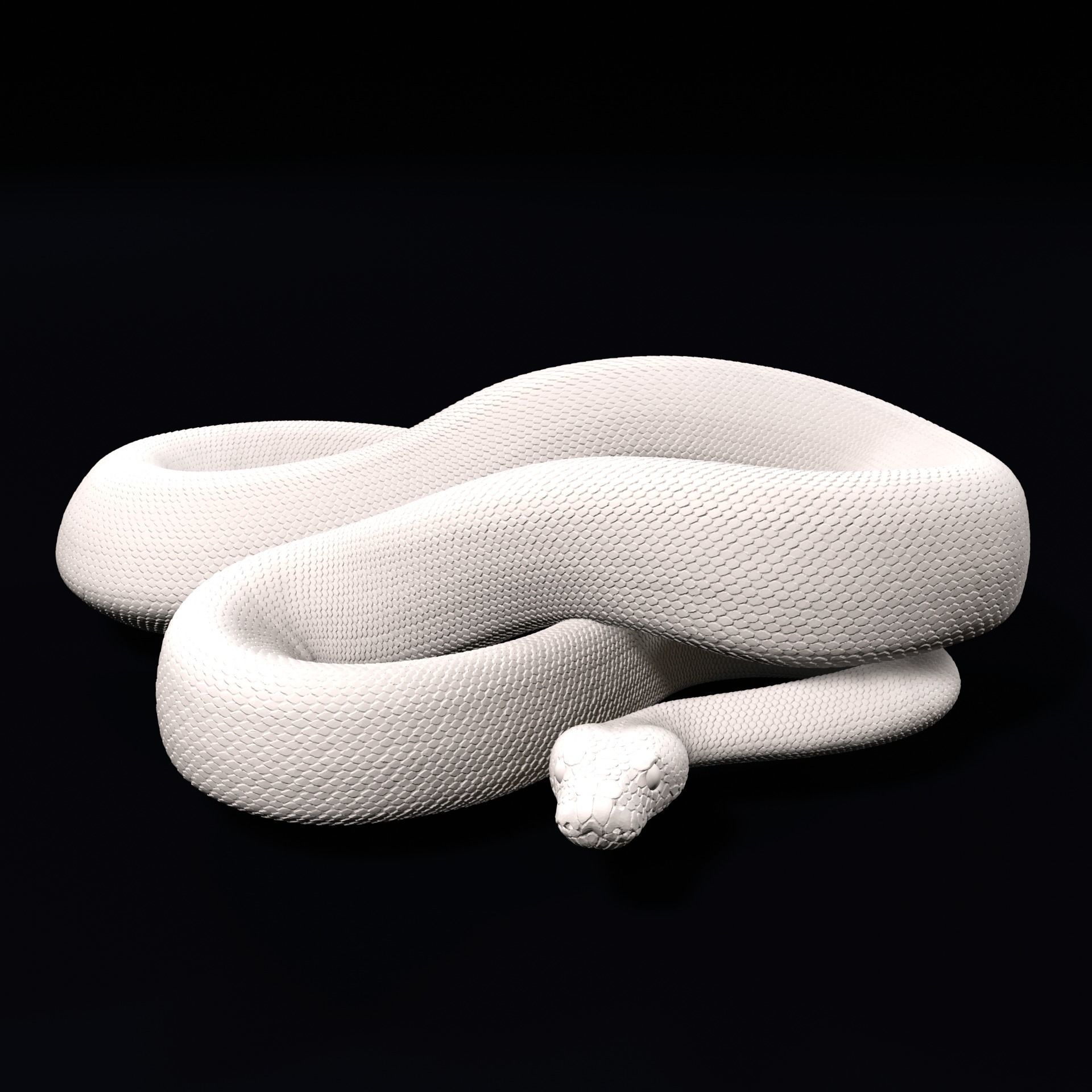 Ball Pythons Realistic Royal Python Pet Snake 3D Print Model 3D print model_1