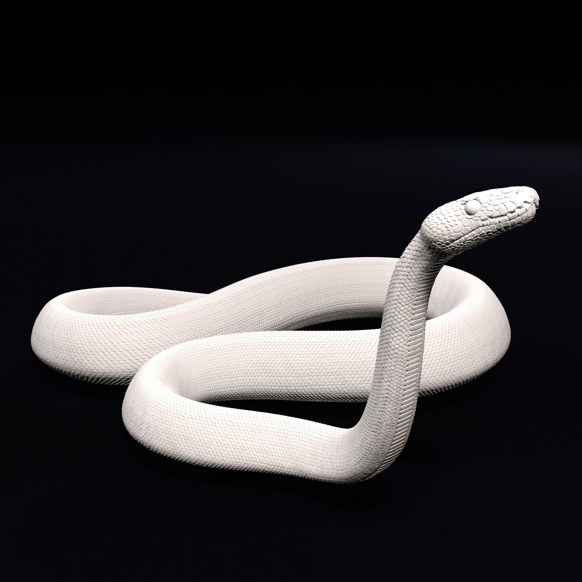 Ball Pythons Realistic Royal Python Pet Snake 3D Print Model 3D print model_7