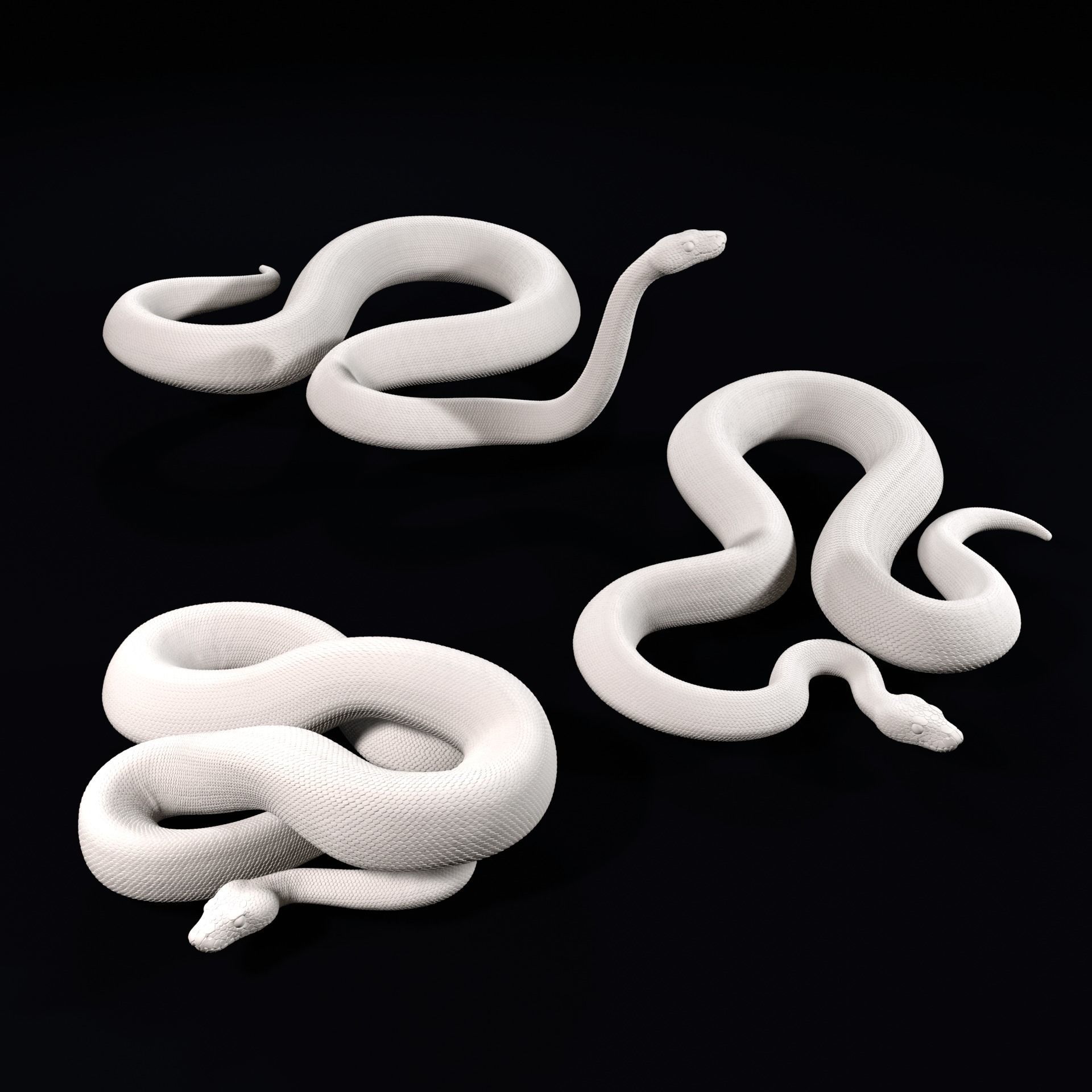 Ball Pythons Realistic Royal Python Pet Snake 3D Print Model 3D model ...
