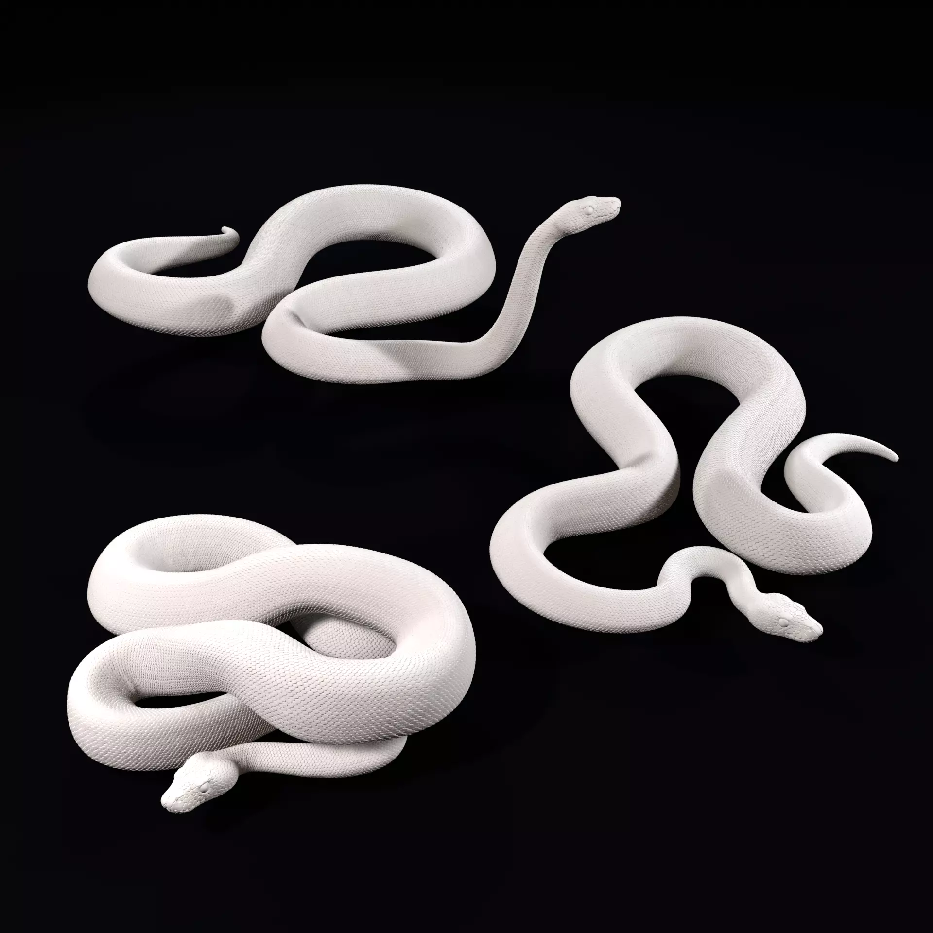 Ball Pythons Realistic Royal Python Pet Snake 3D Print Model 3D print model_0