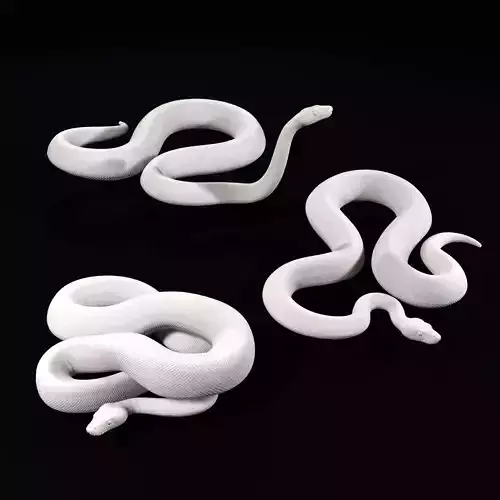 Ball Pythons Realistic Royal Python Pet Snake 3D Print Model 3D print model