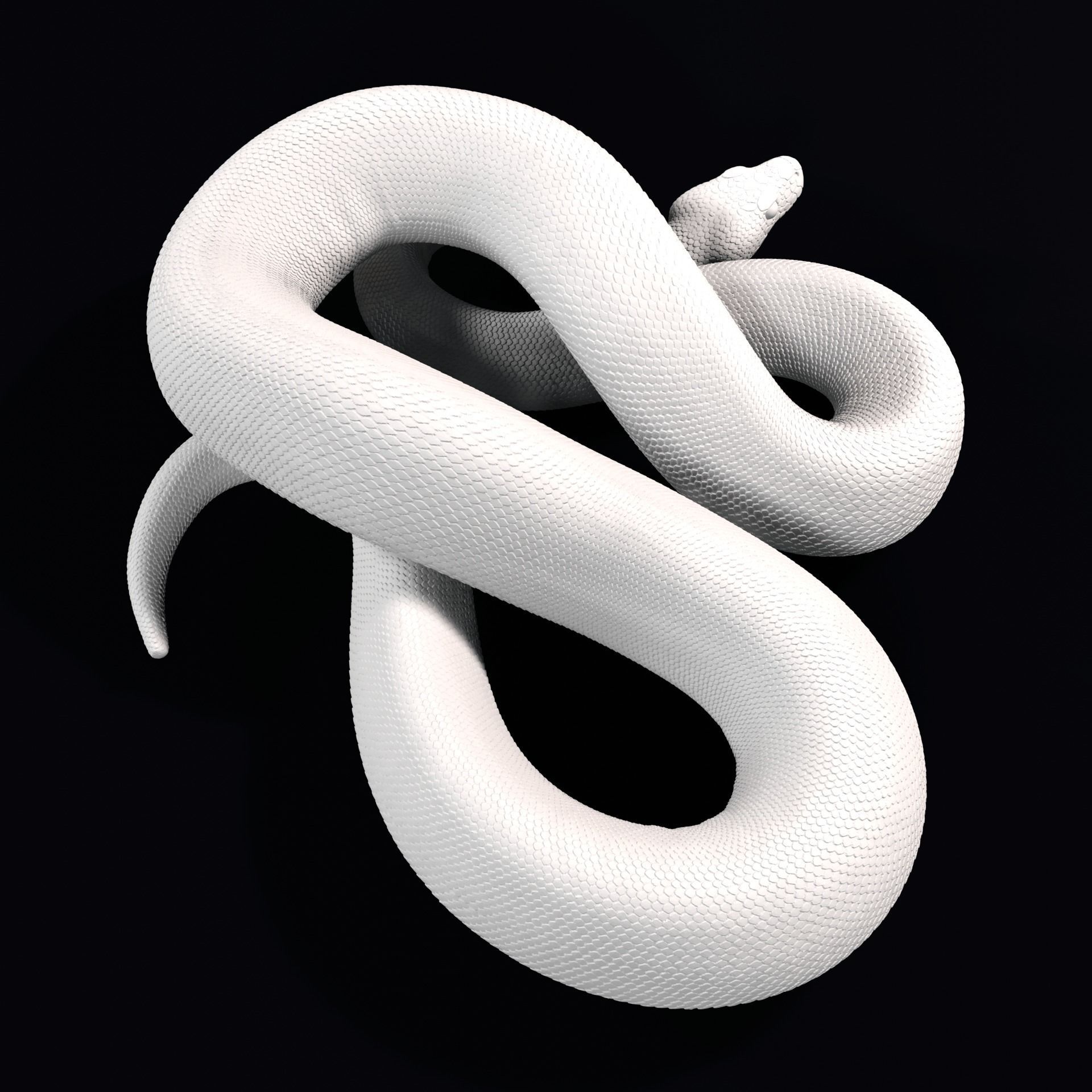 Ball Pythons Realistic Royal Python Pet Snake 3D Print Model 3D model ...