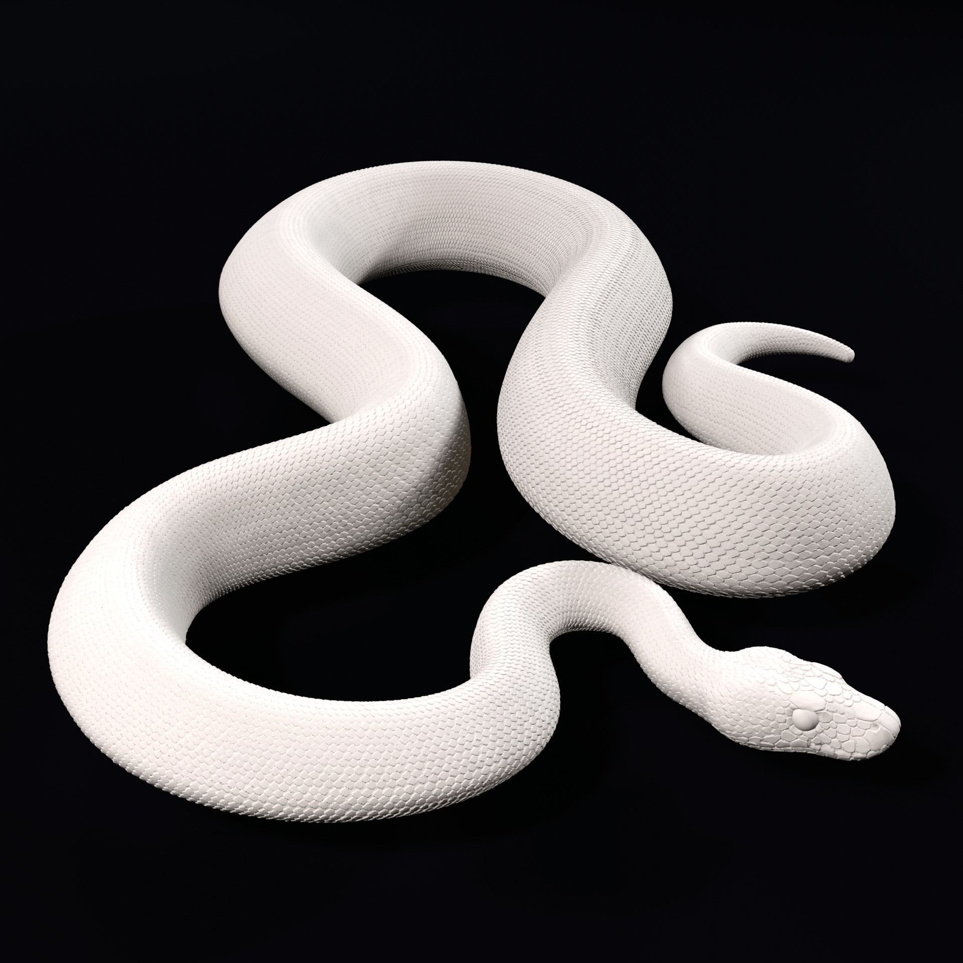 Ball Pythons Realistic Royal Python Pet Snake 3D Print Model 3D print model_6