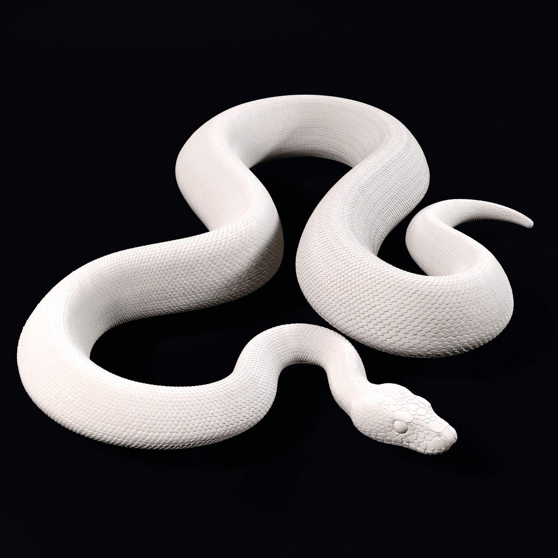 Ball Pythons Realistic Royal Python Pet Snake 3D Print Model 3D print model_4