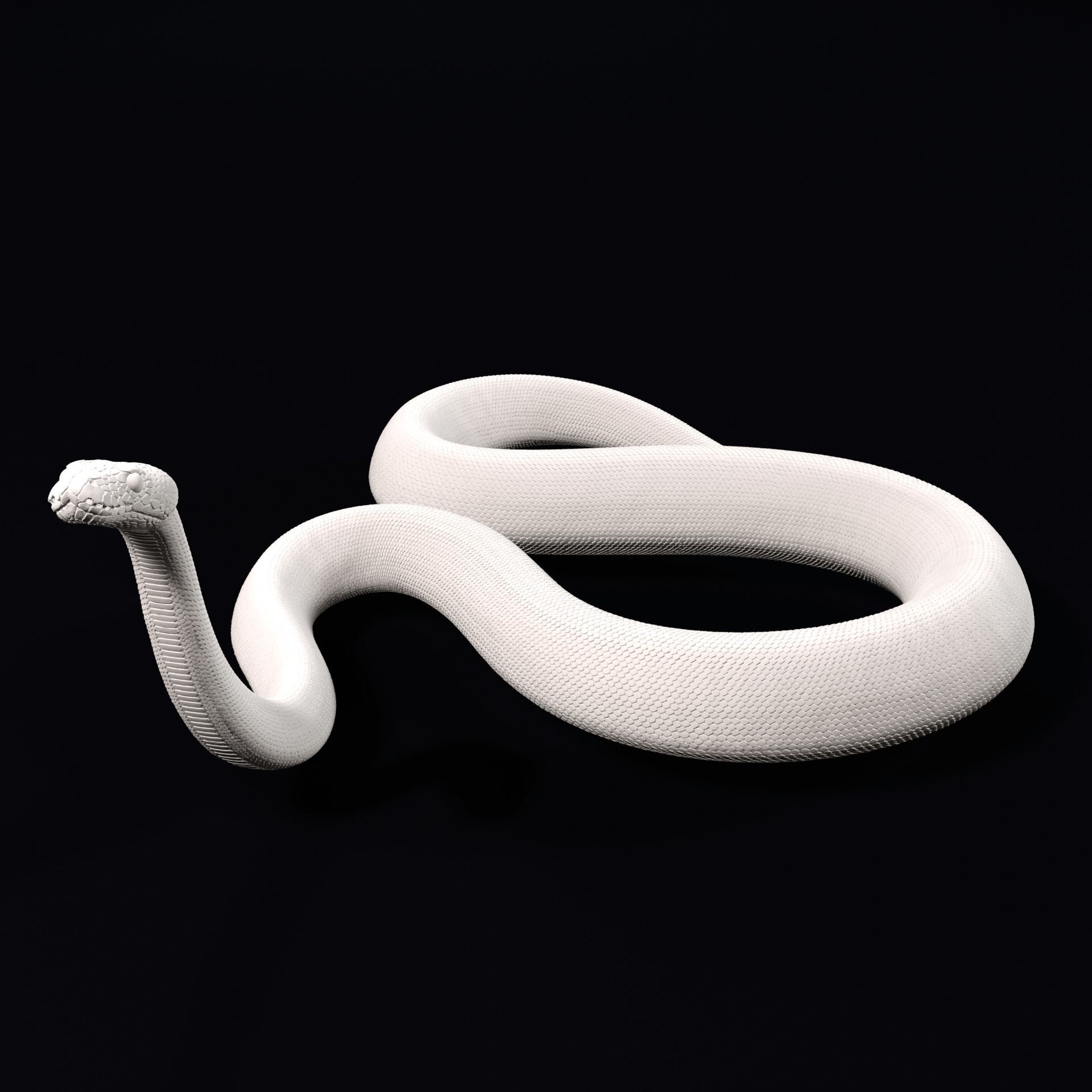 Ball Pythons Realistic Royal Python Pet Snake 3D Print Model 3D model ...