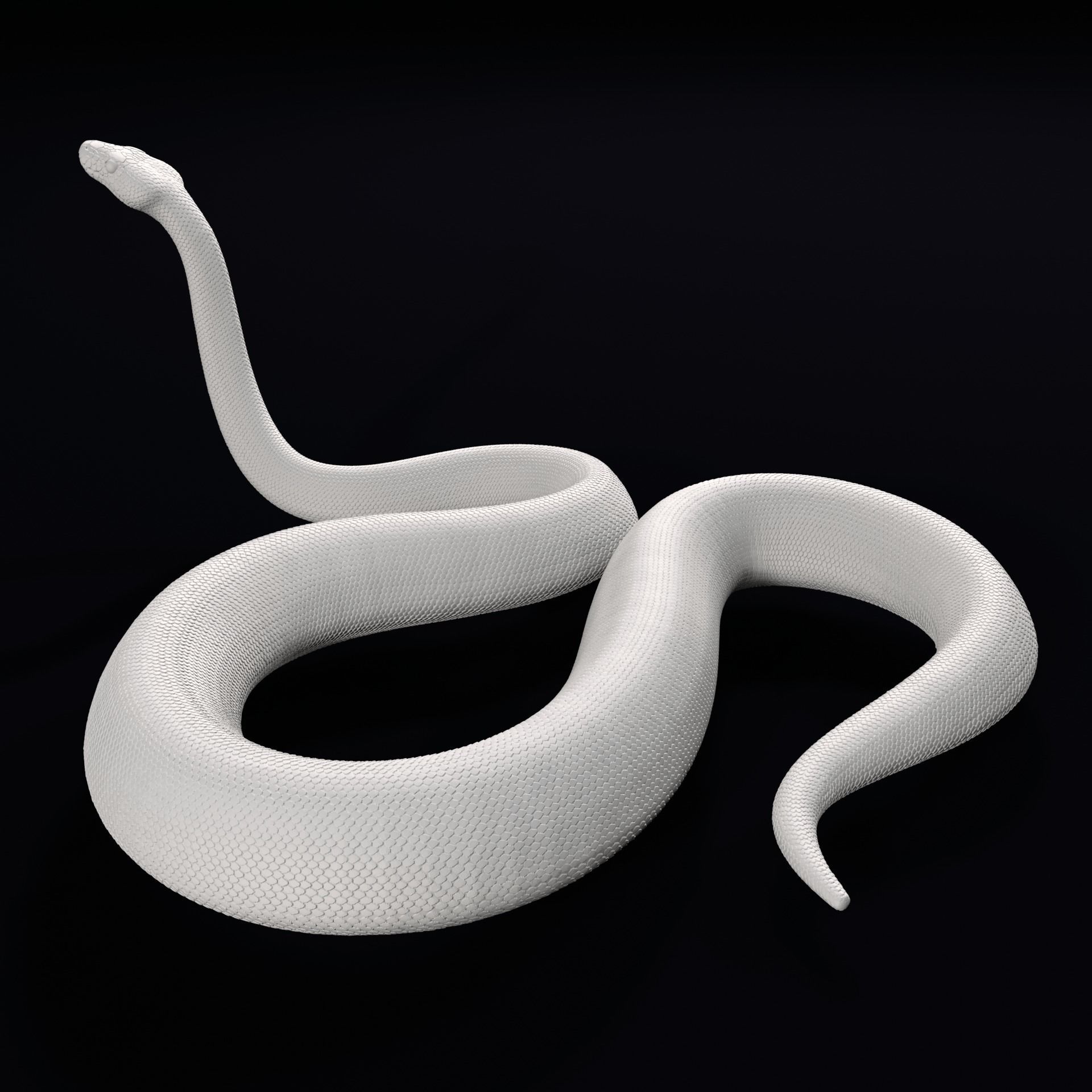 Ball Pythons Realistic Royal Python Pet Snake 3D Print Model 3D model ...