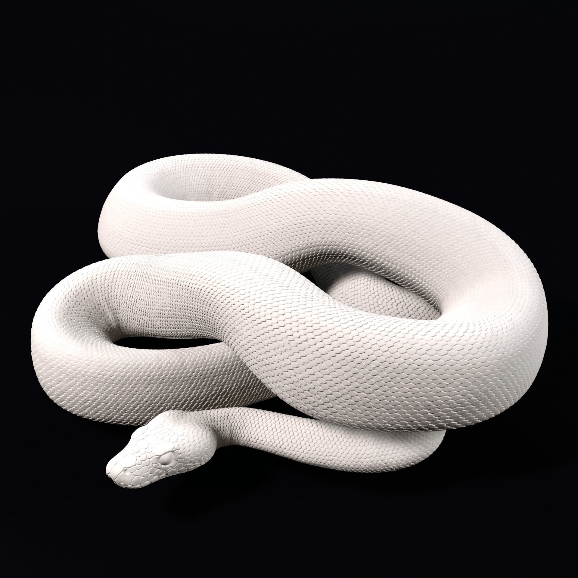 Ball Pythons Realistic Royal Python Pet Snake 3D Print Model 3D print model_2