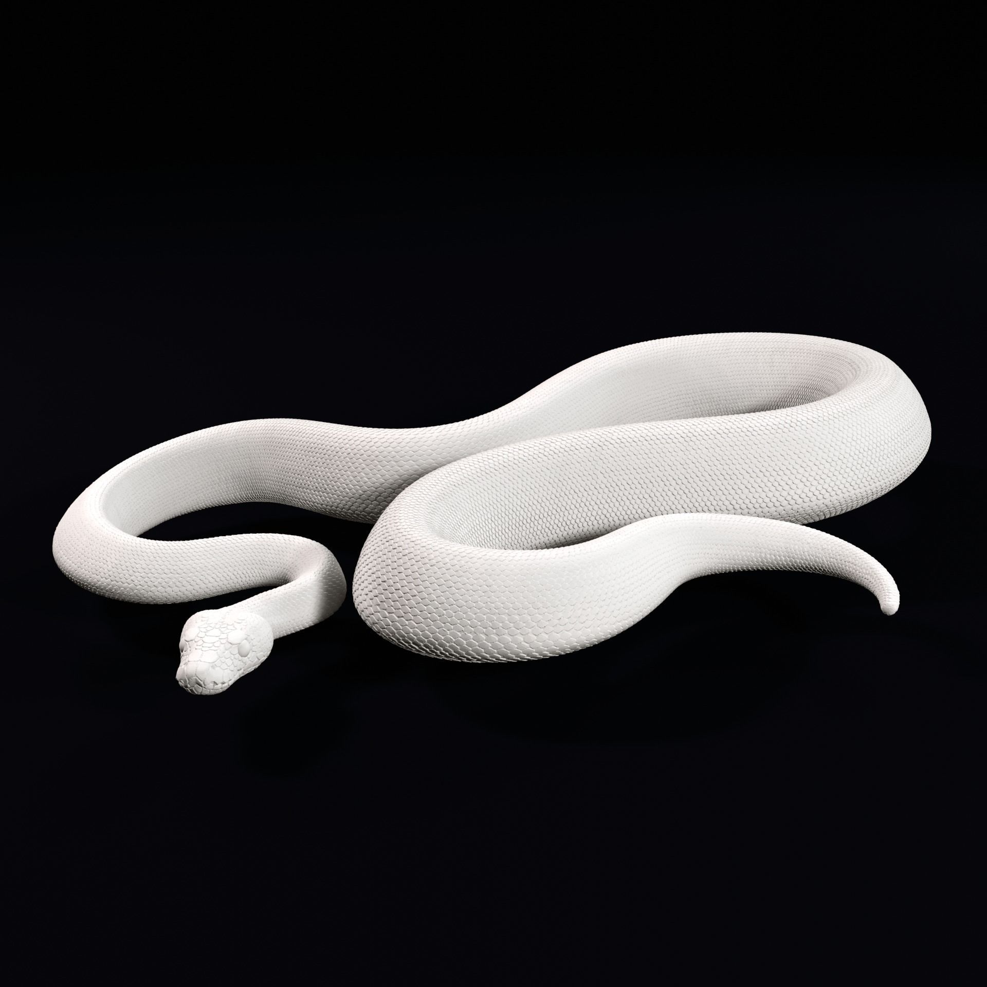 Ball Pythons Realistic Royal Python Pet Snake 3D Print Model 3D print model_5