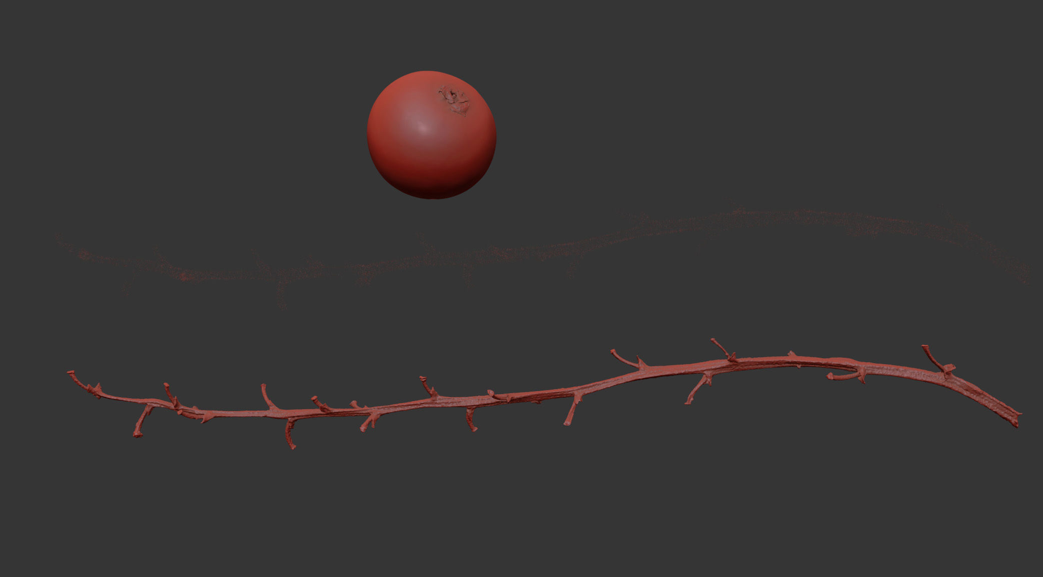 Currant 3D model_7