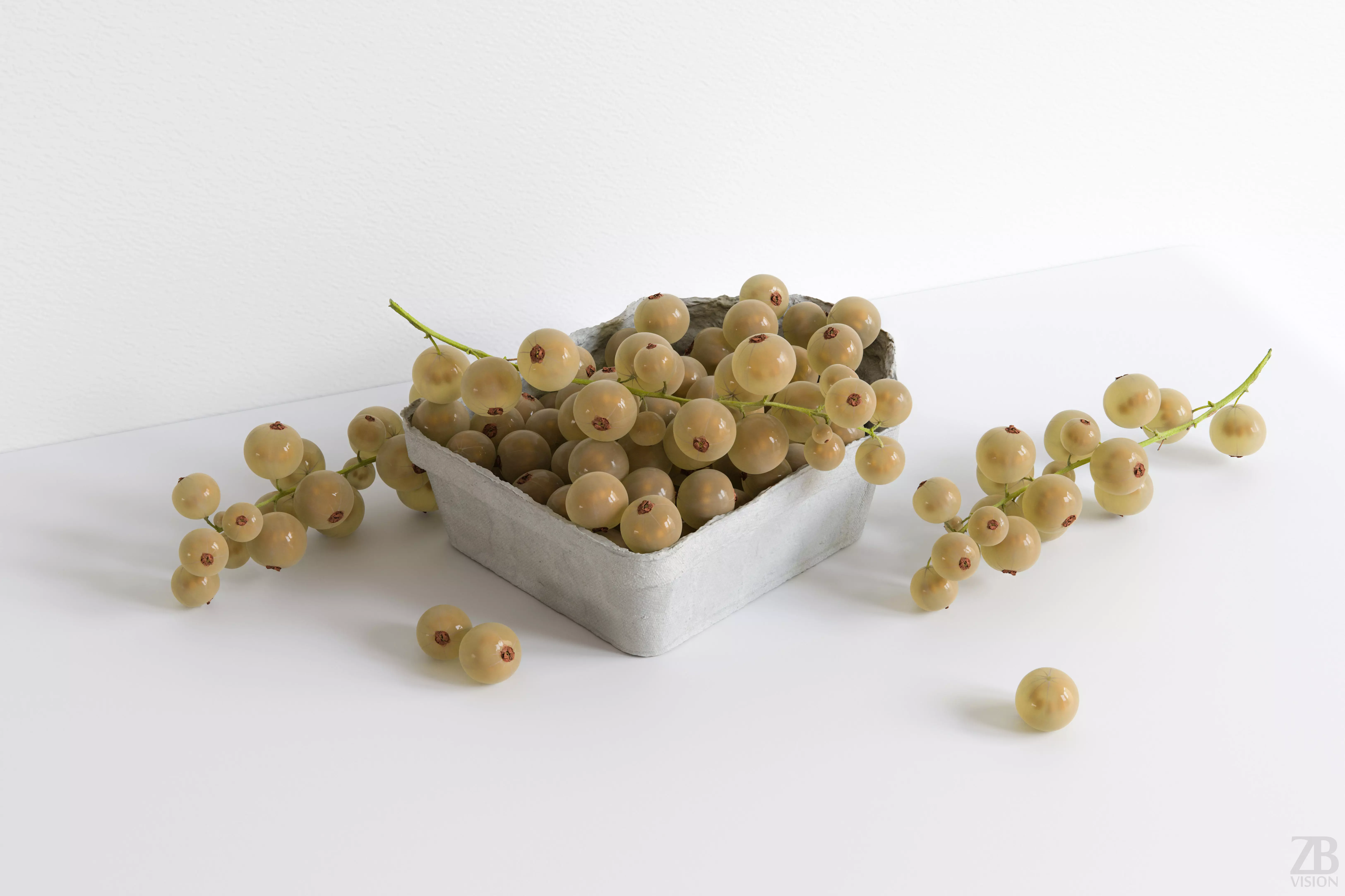 Currant 3D model_0